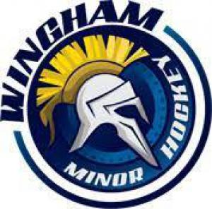 Wingham Ironmen